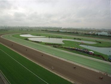 One of our best bets on Saturday runs at Woodbine
